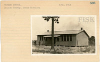 fisk_rf_sf_sp3_05349.jpg