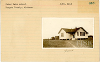 fisk_rf_sf_sp3_05494.jpg