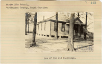 fisk_rf_sf_sp1_04866.jpg