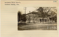 fisk_rf_sf_sp1_04962.jpg