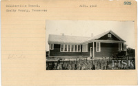 fisk_rf_sf_sp3_05335.jpg