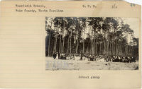 fisk_rf_sf_sp1_04800.jpg