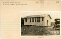 fisk_rf_sf_sp3_05259.jpg
