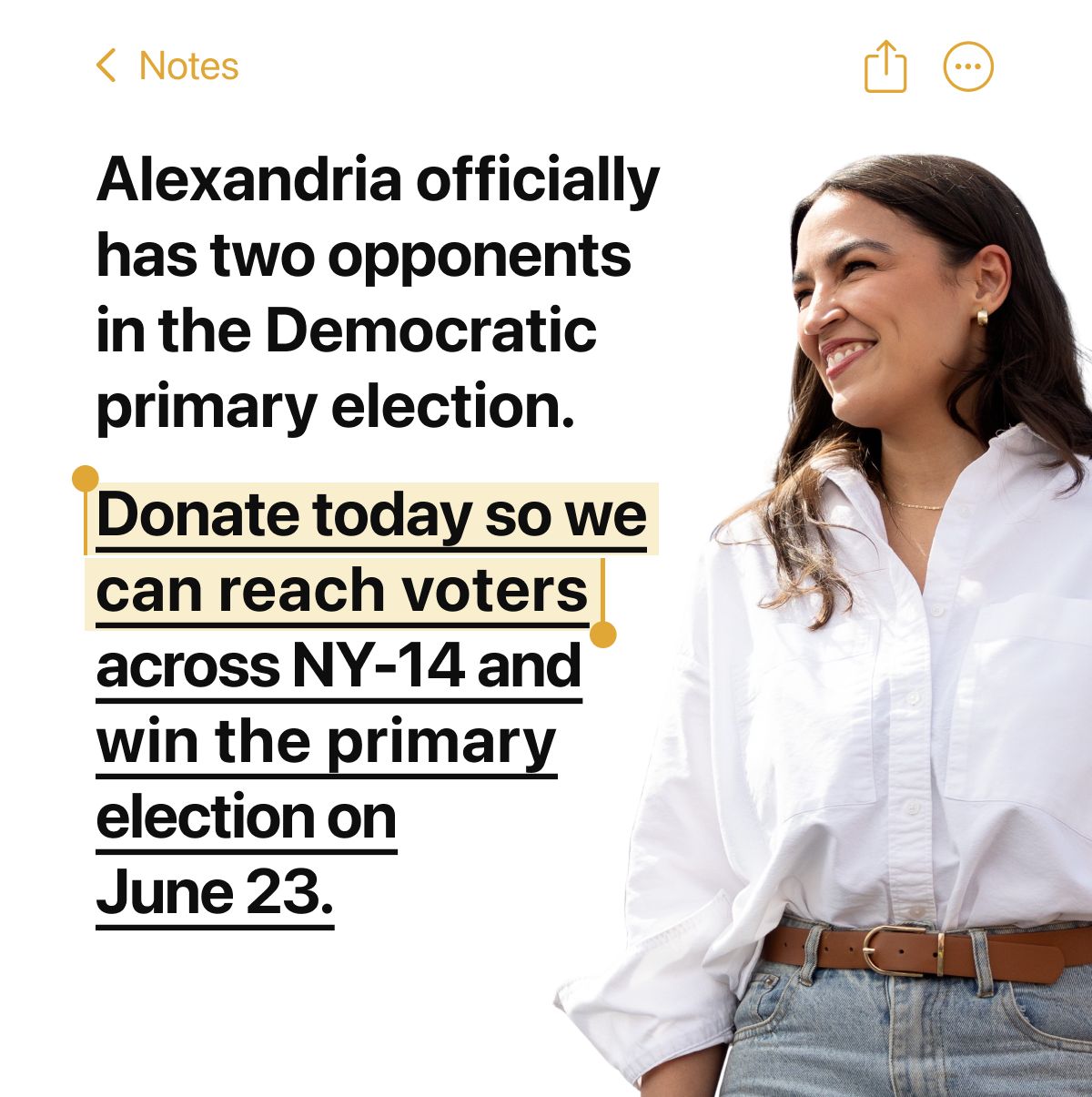 Alexandria officially has two opponents in the Democratic primary election. Donate today so we can reach voters across NY-14 and win the primary election on June 23.