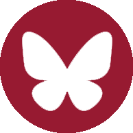 Bluesky icon