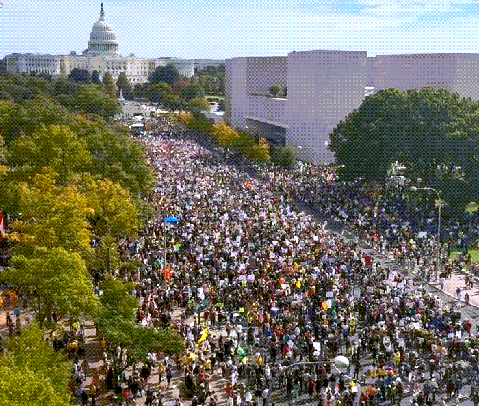 Washington D.C.
