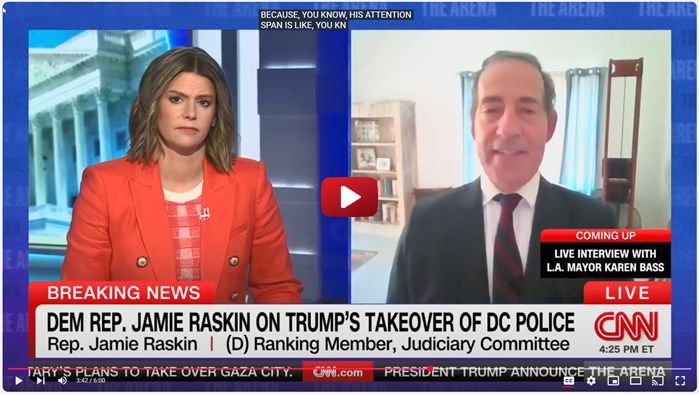 Jamie Raskin on CNN