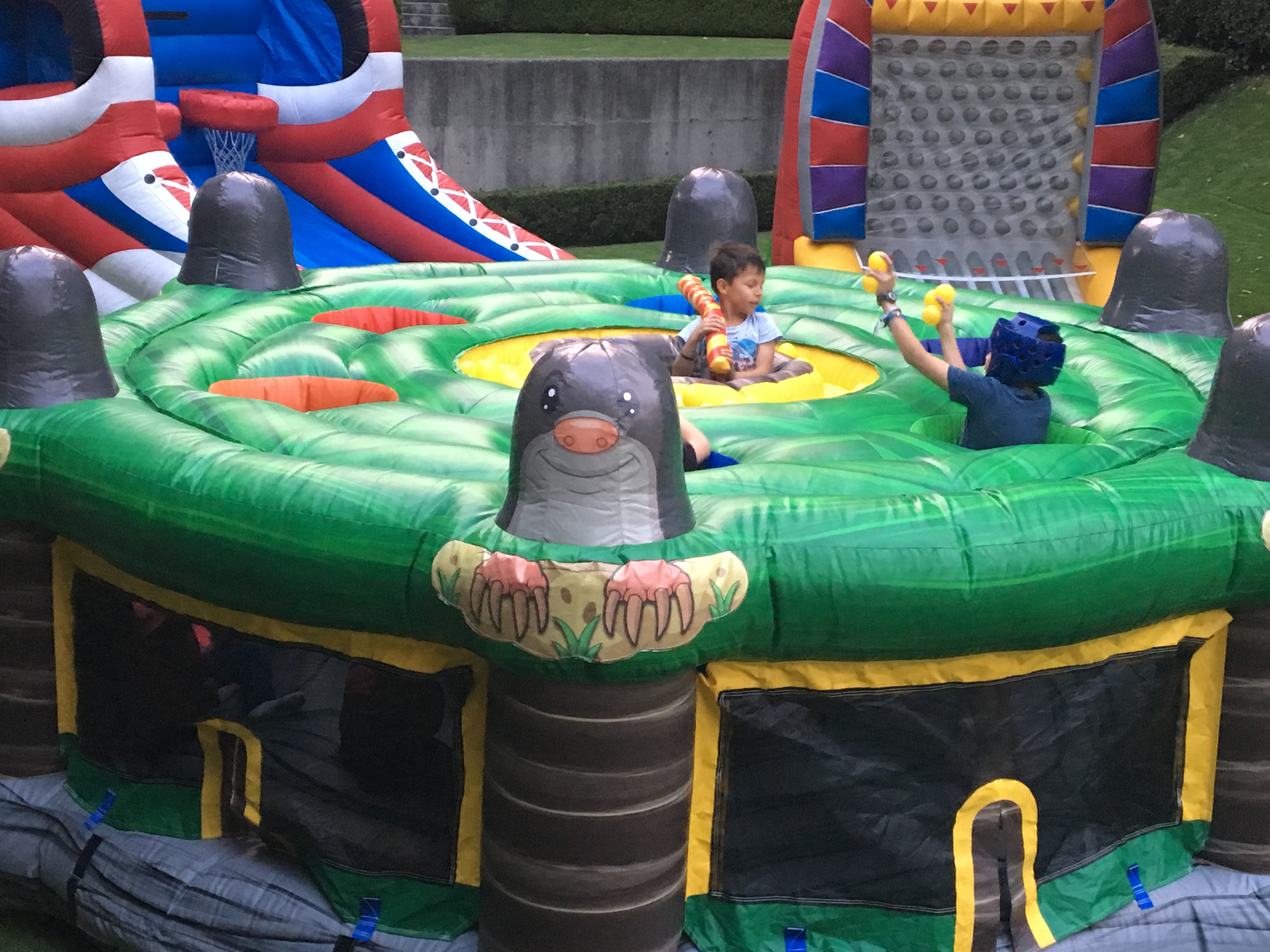 Wak A-Mole