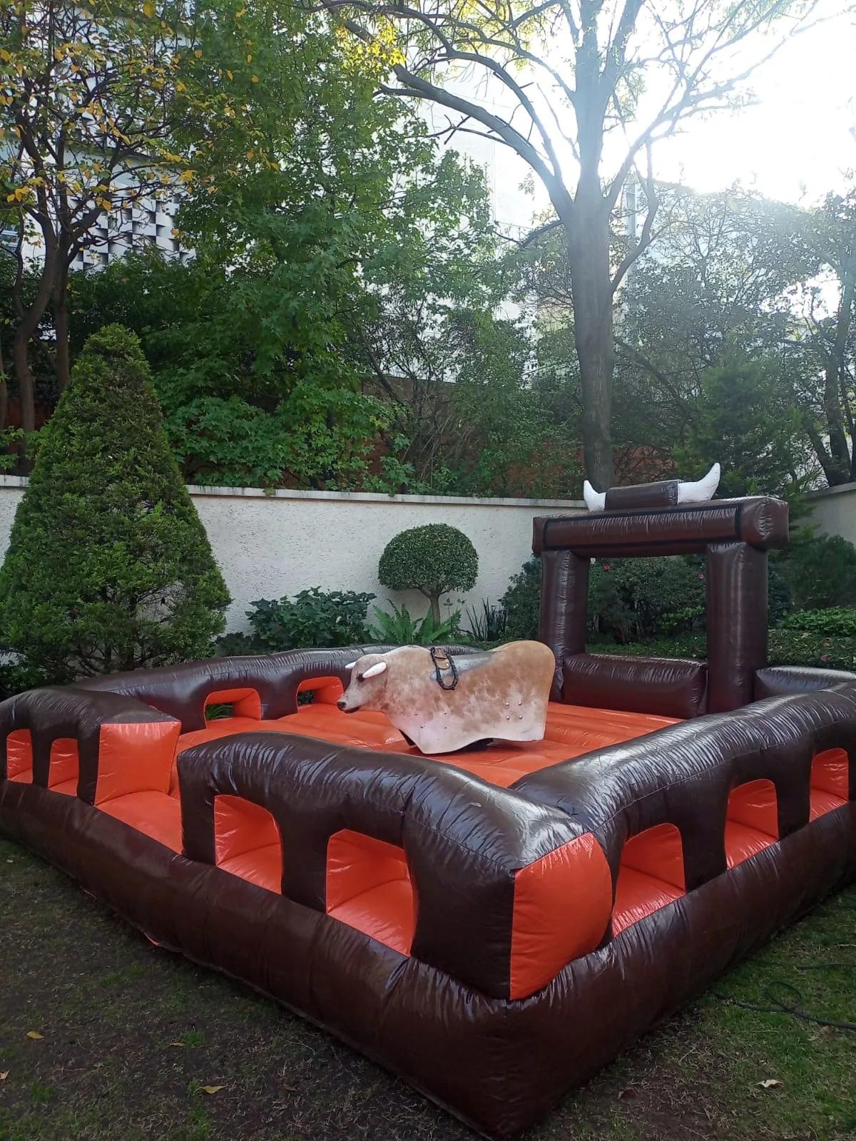 Toro Mecánico