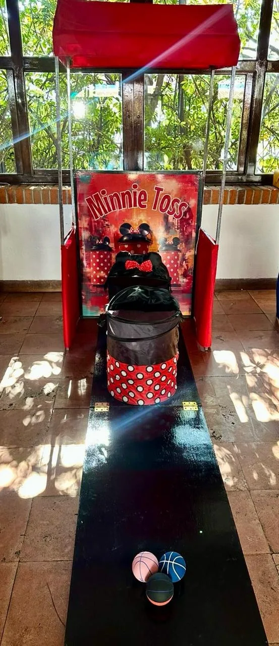 Canastos Minnie