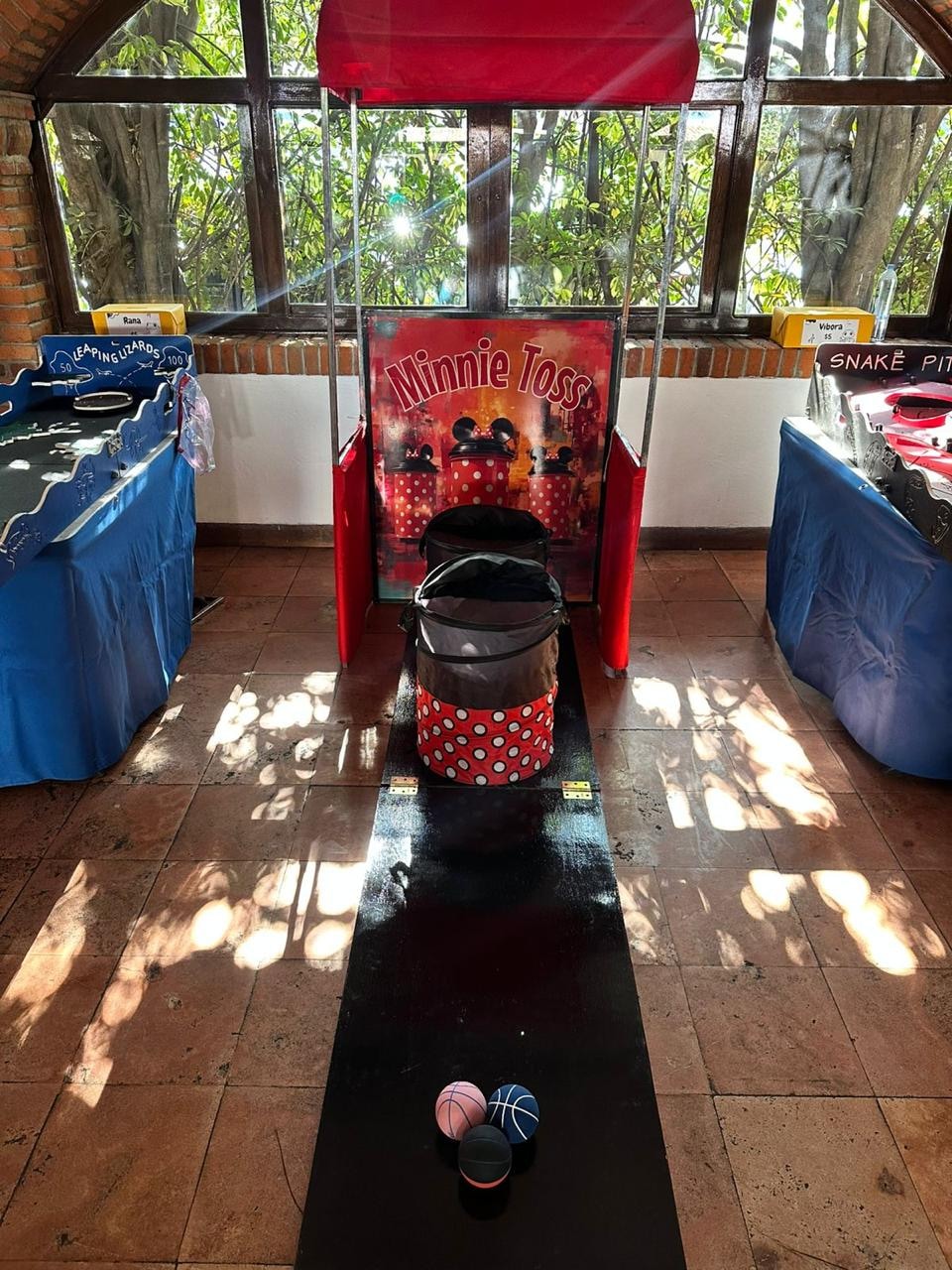 Canastos Minnie foto 2