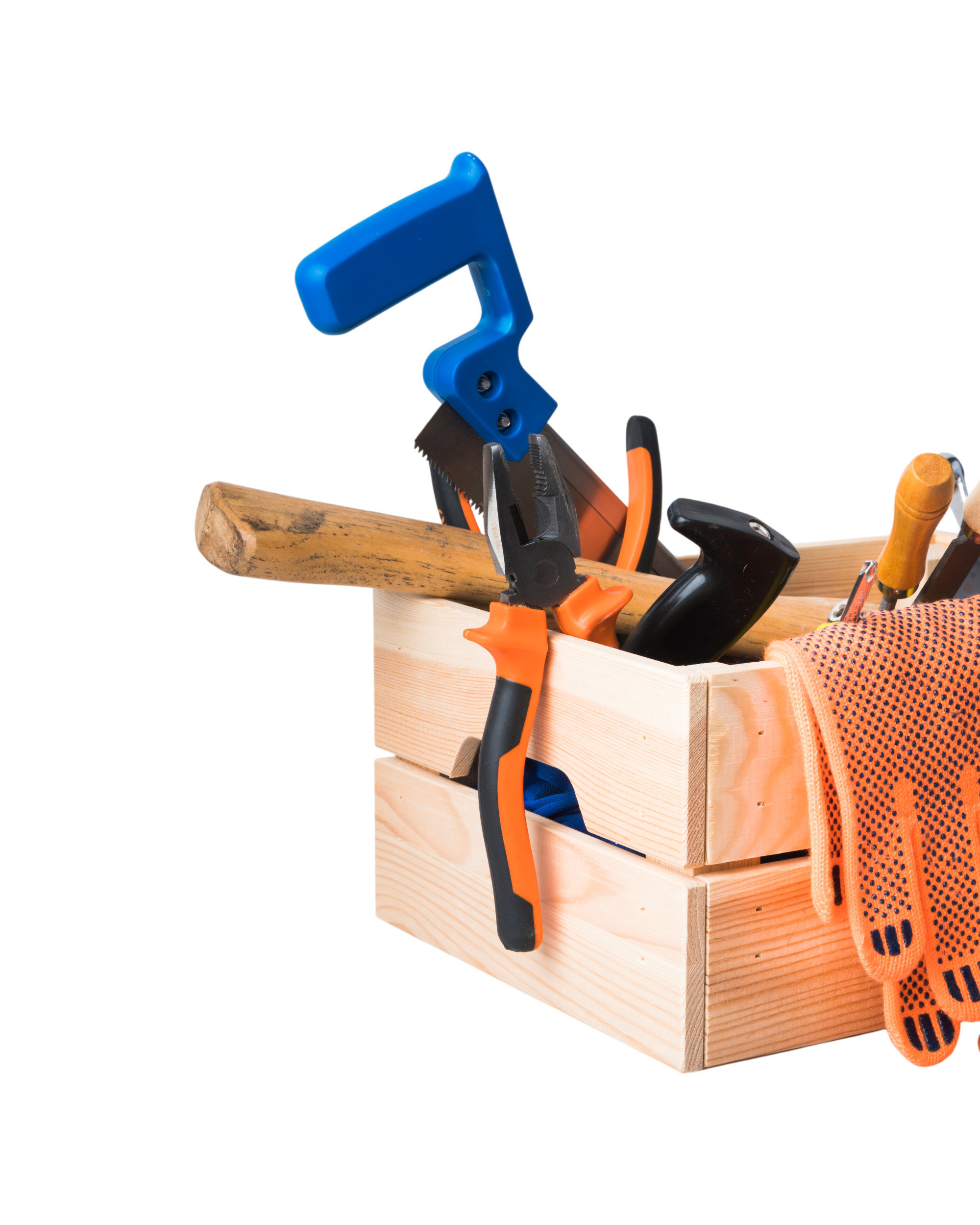 Servicios Profesionales