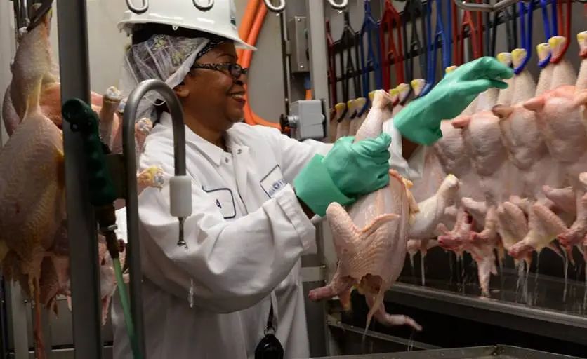 Image of worker in a chicken processing plant