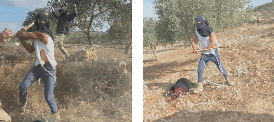 West Bank Violence GIF West Bank Violence GIF