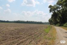 Tract 3 (42 acres)