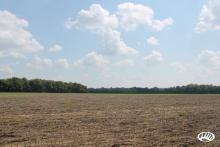 Tract 2 (107 acres+/-)