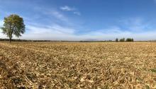 farm for sale