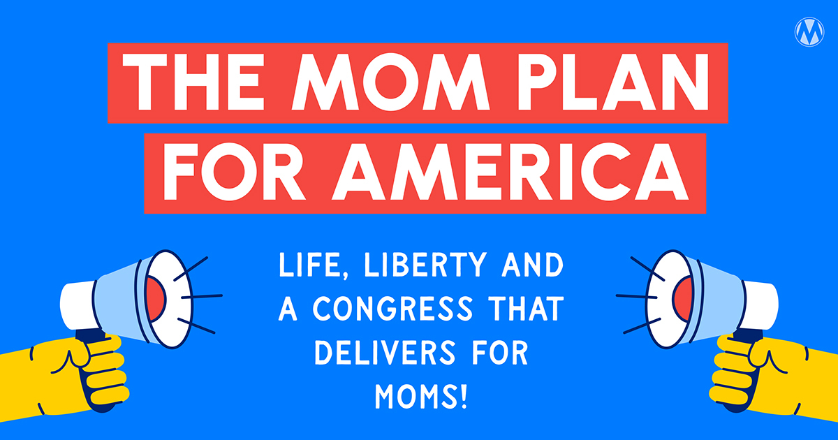 Tell Congress to get with The Mom Plan