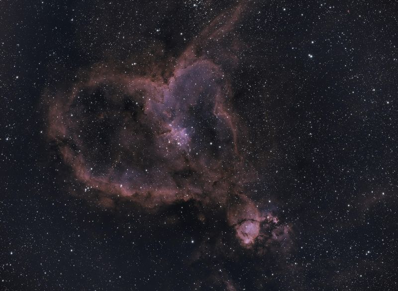 IC 1805 The Heart Nebula: Kevin Criado