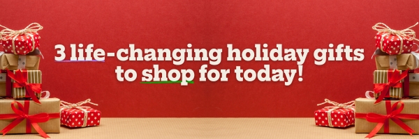 Dream.org logo: a purple letter D and an orange letter O intersecting