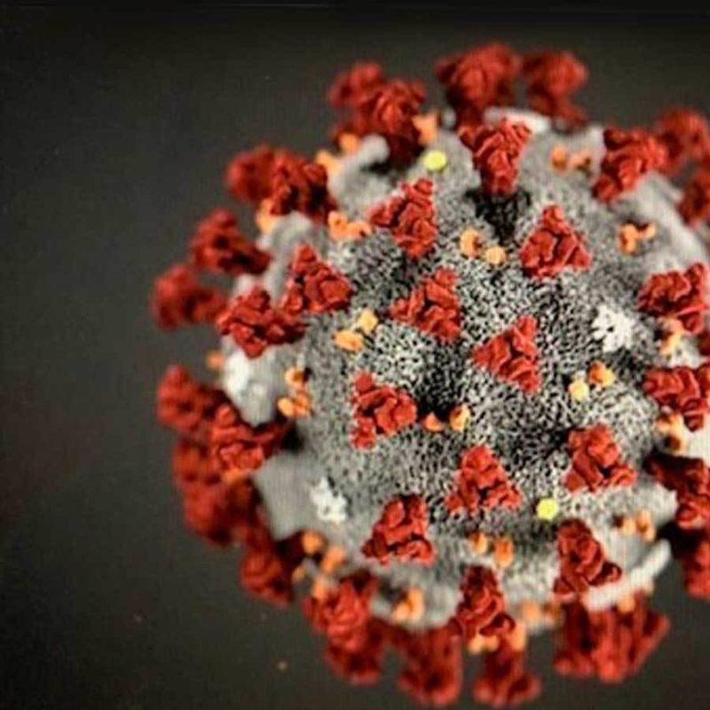 Coronavirus (COVID-19)