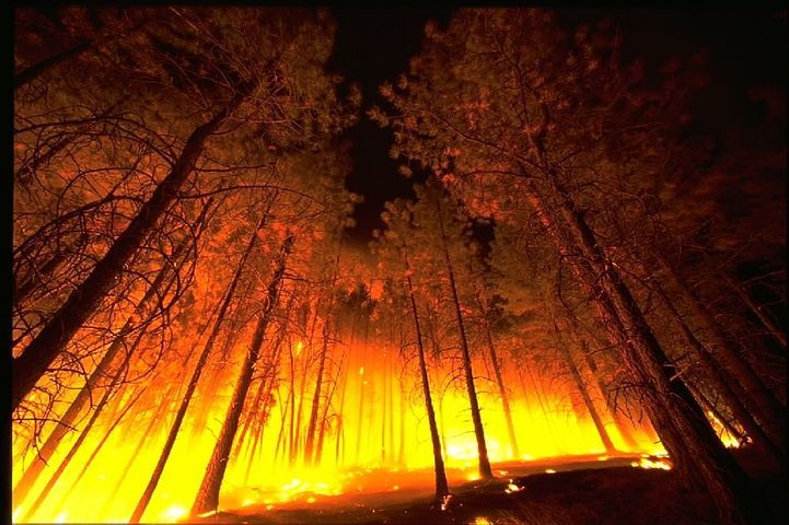 It’s almost here . . . Wildfire Season. What challenges do you face?