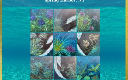 Orcas & Reefs Art Show by Selva Ozelli for Whaling Museum Cold Spring Harbor - Ocean Decade - Ocean X Pavilion at COP28