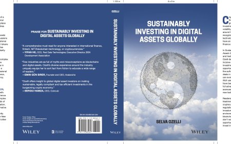 Sustainably Investing in Digital Assets Globally