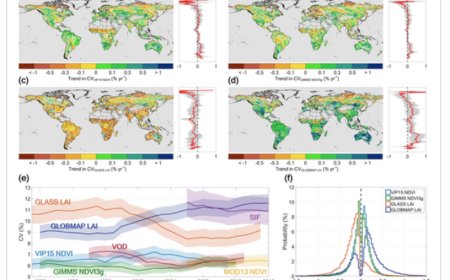 Contrasting Shifts in Vegetation "Greenness"