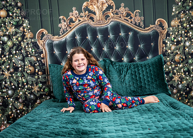 Lehrer Christmas Mini