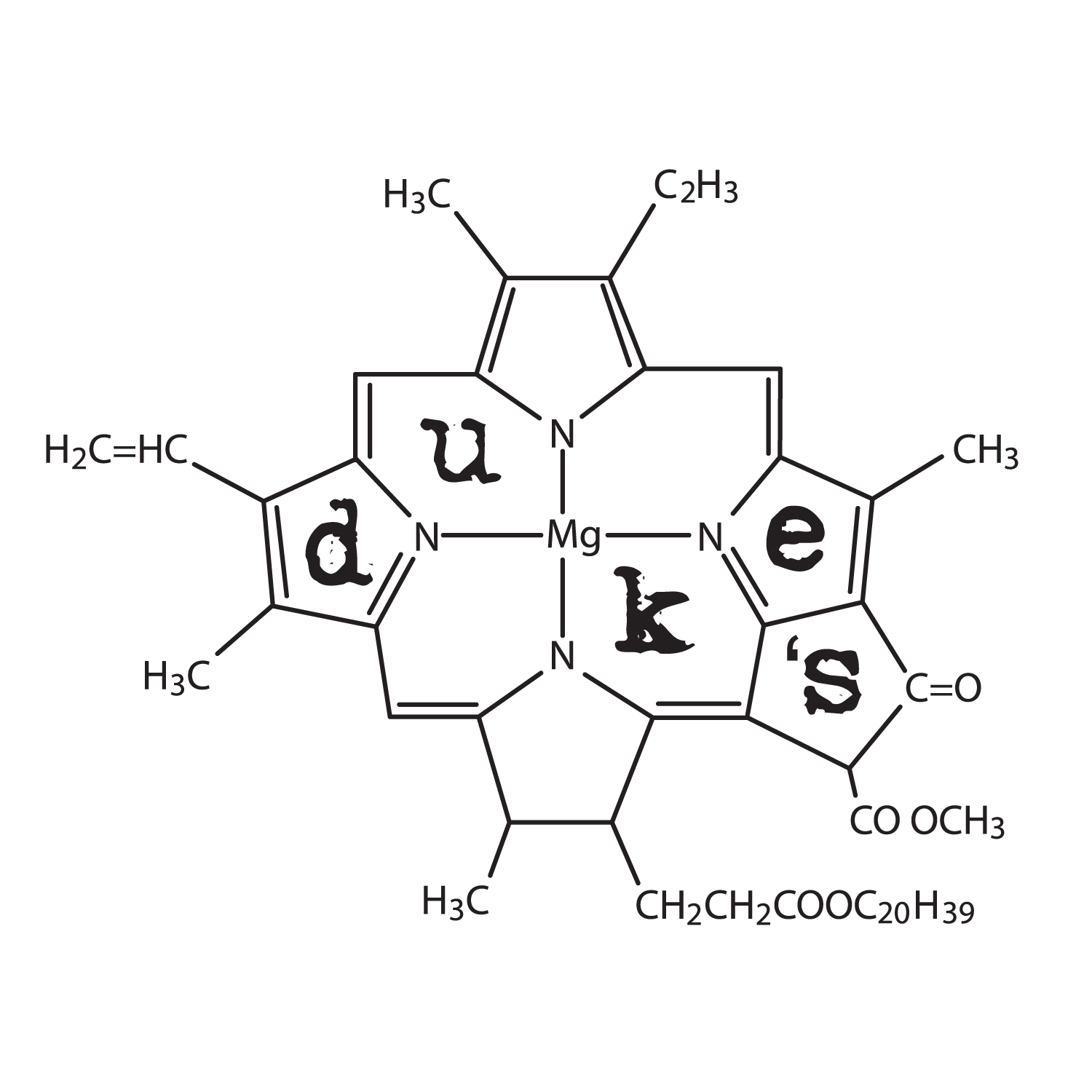 Duke's Alehouse & Kitchen