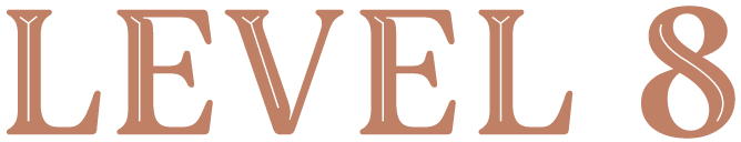 Level 8