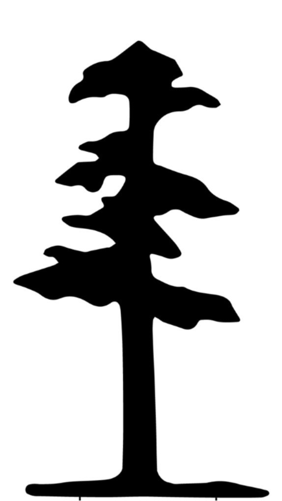 The Pineville Tavern