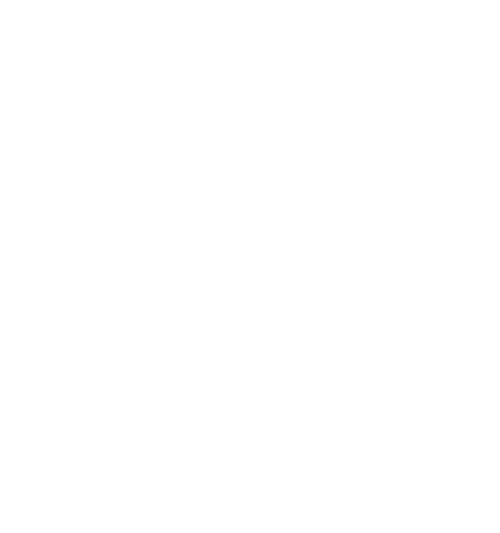 The Forge