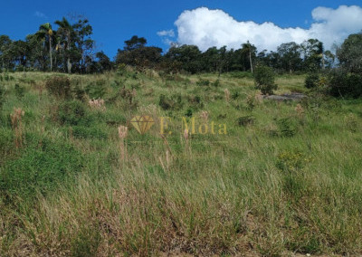 Imagem para o imóvel Ref. 454
