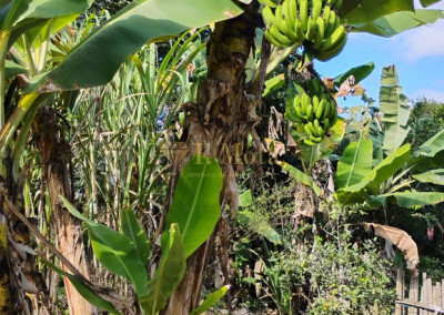 Imagem para o imóvel Ref. 384