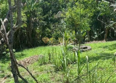 Imagem para o imóvel Ref. 385