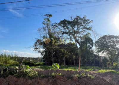 Imagem para o imóvel Ref. 467