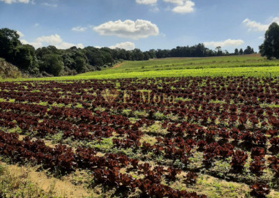 Imagem para o imóvel Ref. 12