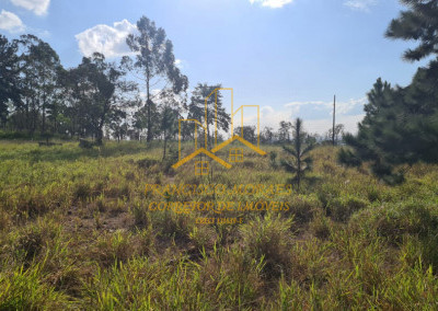 Imagem para o imóvel Ref. 5