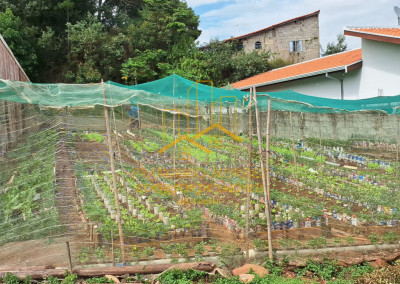 Imagem para o imóvel Ref. 25