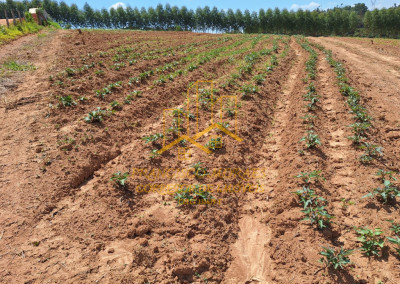 Imagem para o imóvel Ref. 36