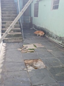Imagem para o imóvel Ref. 1373
