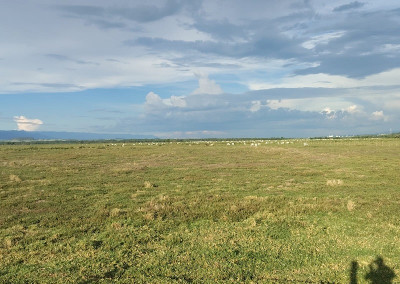 Imagem para o imóvel Ref. 127