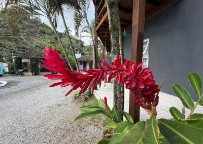 Imagem para o imóvel Ref. 295