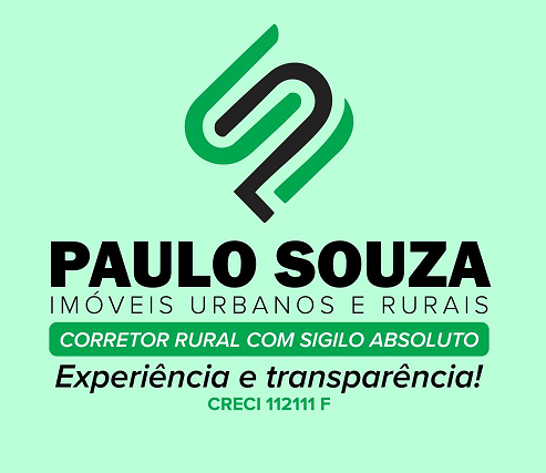 PAULO DOMINGOS DE SOUZA CORRETOR