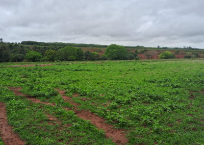 Imagem para o imóvel Ref. 27