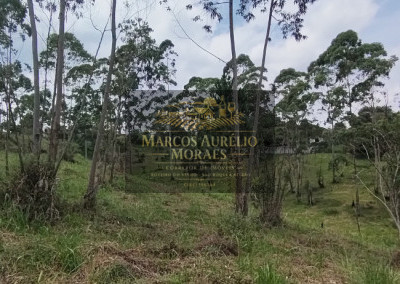 Imagem para o imóvel Ref. 34