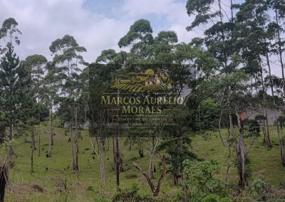 Imagem para o imóvel Ref. 33