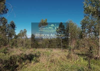 Imagem para o imóvel Ref. 24